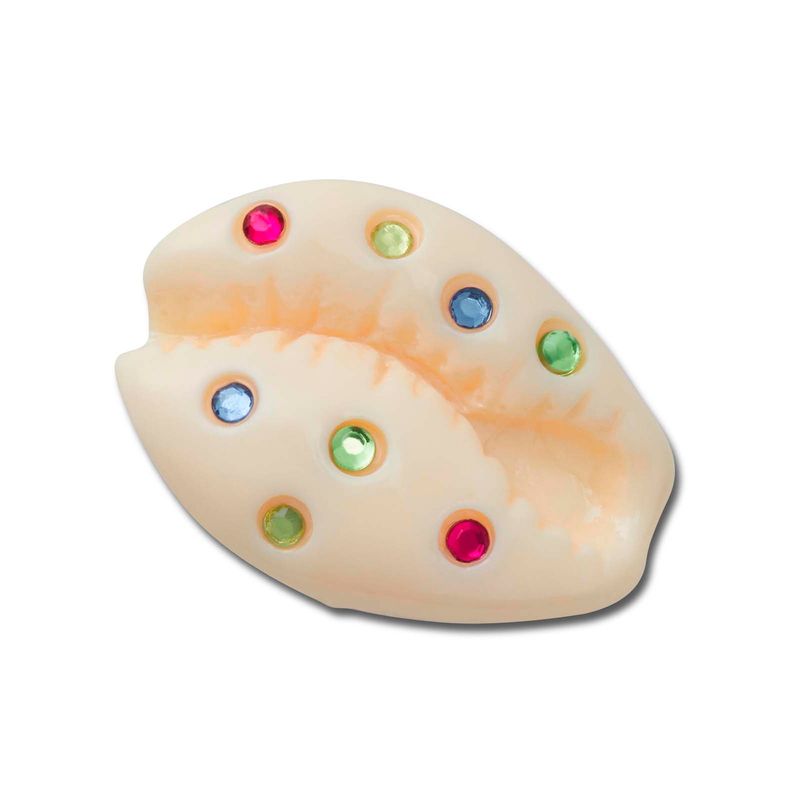 Jibbitz-Concha-De-Mar-Con-Gemas-Multicolor-Crocs