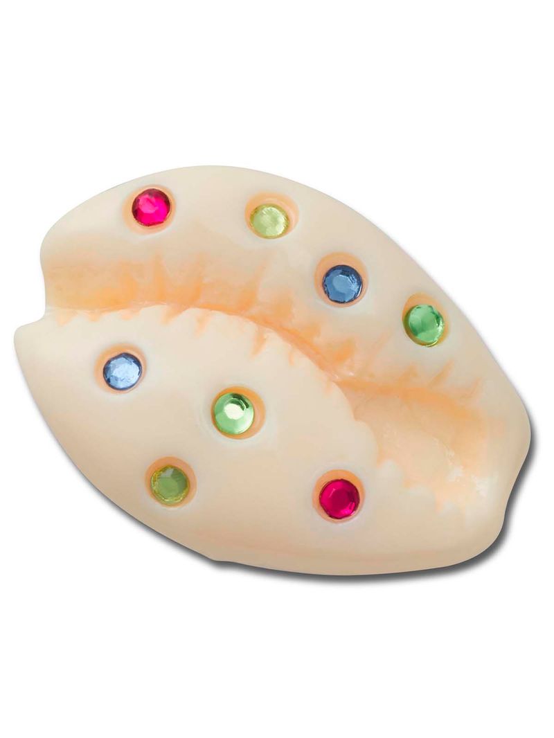 Jibbitz-Concha-De-Mar-Con-Gemas-Multicolor-Crocs