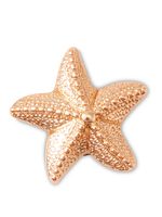 Jibbitz-Estrella-De-Mar-Dorada-Crocs